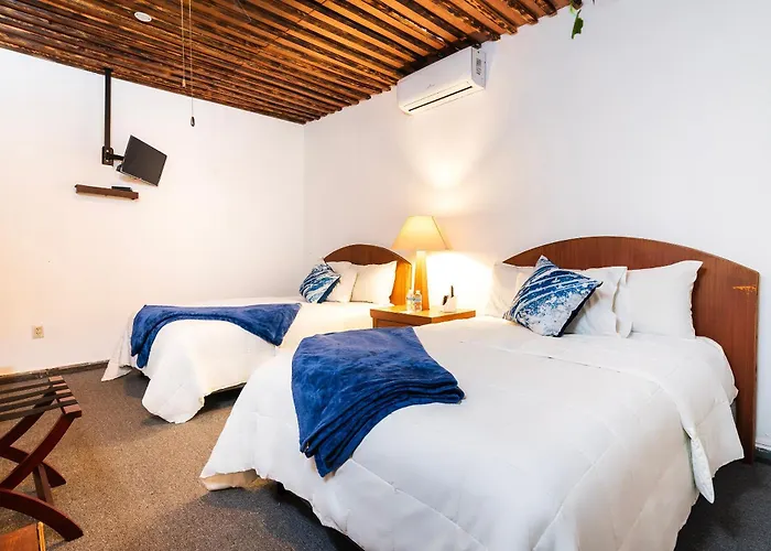 Bed and breakfast Capital O Del Pescador, Cabos