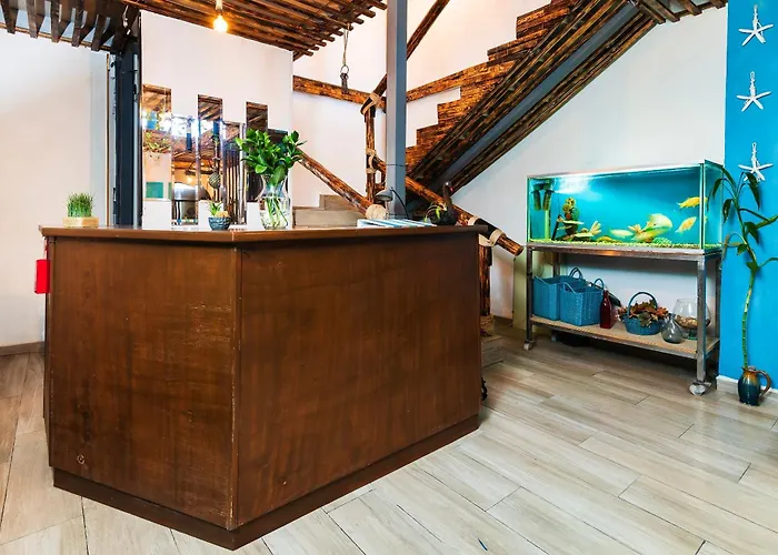 Capital O Del Pescador, Cabos Bed and breakfast