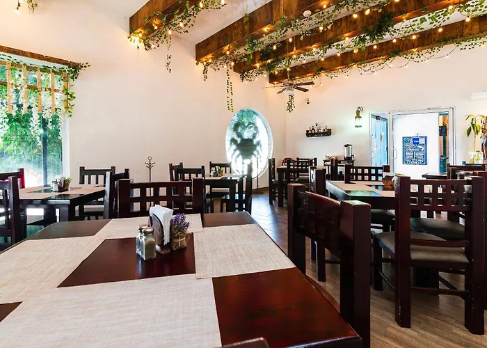 Bed and breakfast Capital O Del Pescador, Cabos