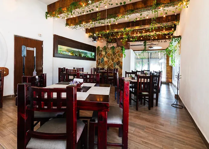 Bed and breakfast Capital O Del Pescador, Cabos 4*