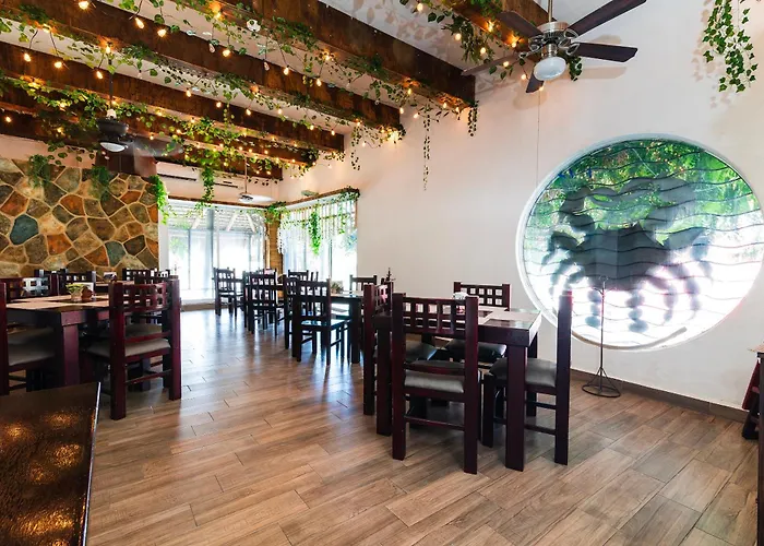 Capital O Del Pescador, Cabos Bed and breakfast