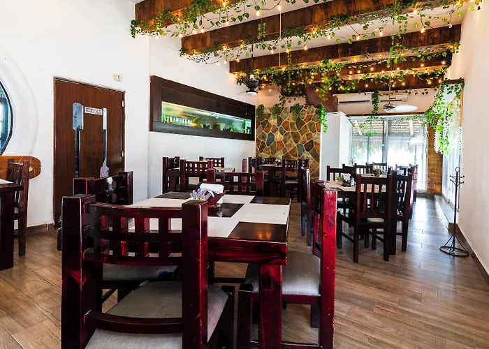 Bed and breakfast Capital O Del Pescador, Cabos