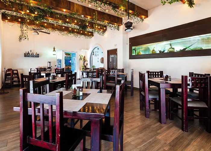 Capital O Del Pescador, Cabos 4* Cabo San Lucas