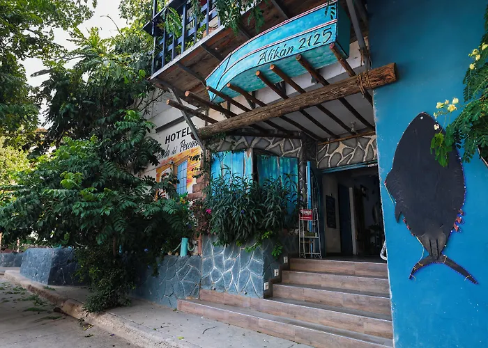 Capital O Del Pescador, Cabos Bed and breakfast 4*